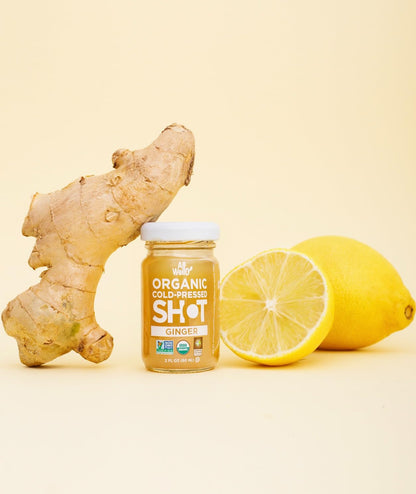 AllWellO Cold-Pressed Ginger Shot, 60 mL – USDA Organic Booster (6 Pack)