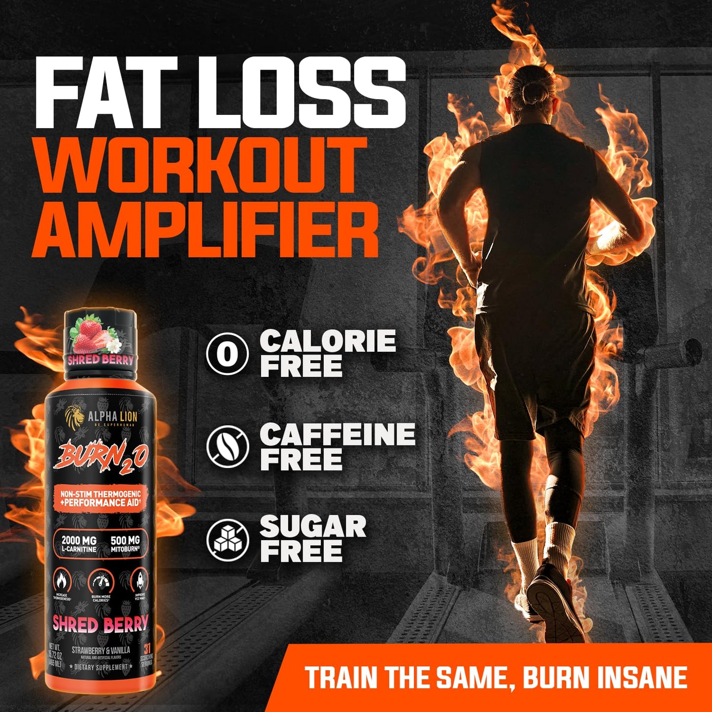 ALPHA LION Burn2O Liquid L-Carnitine 2000mg – Premium Fat Burner & Pre-Workout for Men & Women | ShredBerry