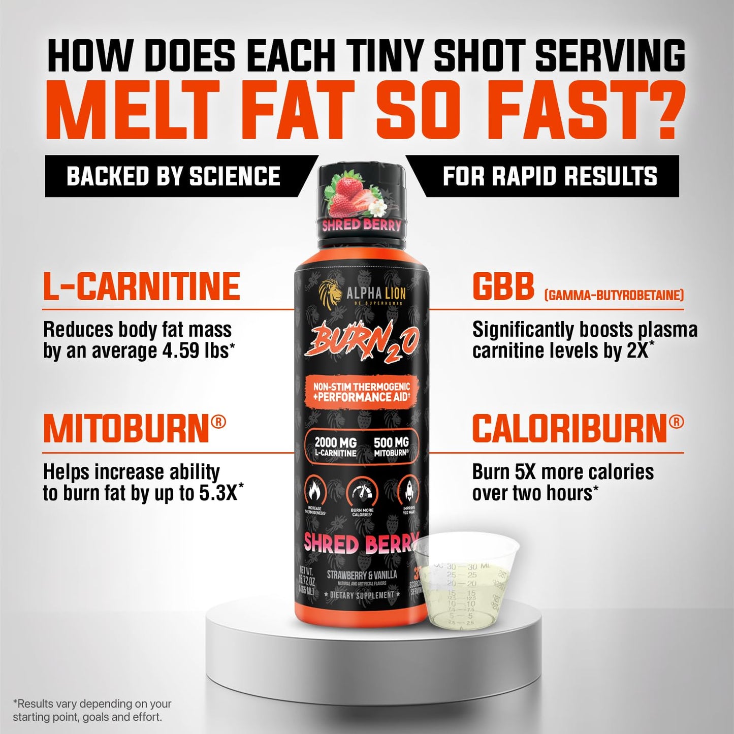 ALPHA LION Burn2O Liquid L-Carnitine 2000mg – Premium Fat Burner & Pre-Workout for Men & Women | ShredBerry