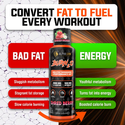 ALPHA LION Burn2O Liquid L-Carnitine 2000mg – Premium Fat Burner & Pre-Workout for Men & Women | ShredBerry