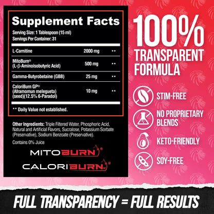 ALPHA LION Burn2O Liquid L-Carnitine 2000mg – Premium Fat Burner & Pre-Workout for Men & Women | ShredBerry