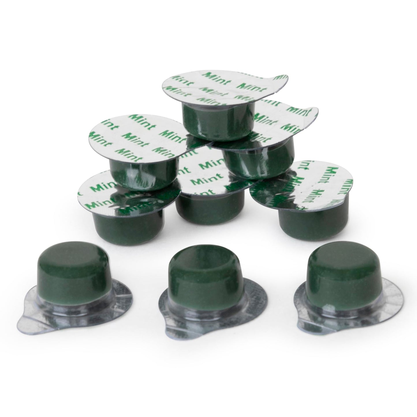 Alpine BLANC Tooth Polish Non Splatter Formula - Mint Flavored, Coarse Grit (Pack of 50)