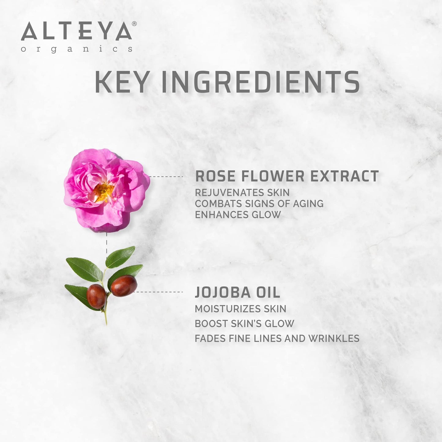 Alteya Bulgarian Rose Absolute Oil Rosa Damascena – Multi-Use Oil Blend for Aromatherapy, Skincare, Fragrance & Massage Therapy 10mL