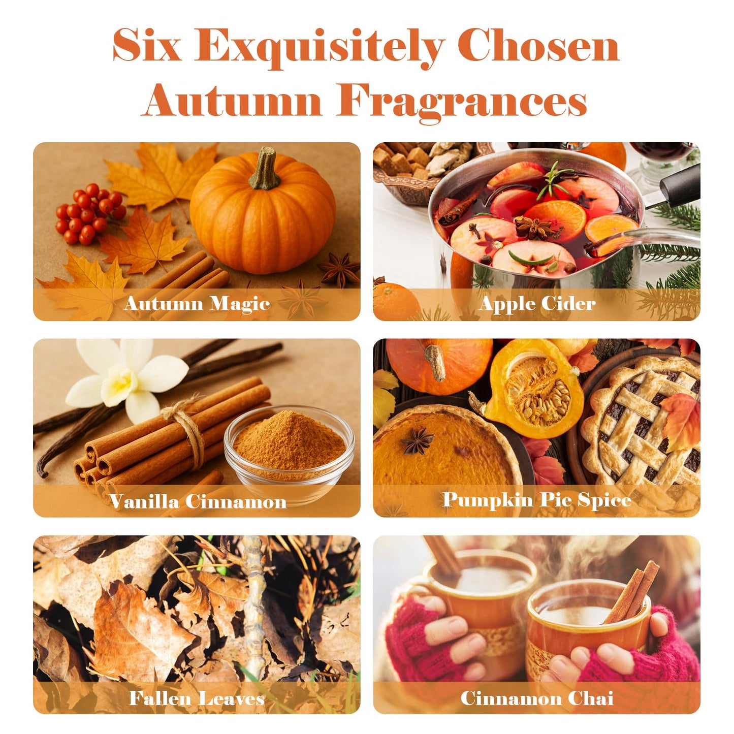 AmaKane Fall Fragrance Oil Set - 6x10ml for Diffusers, Candles & Soaps
