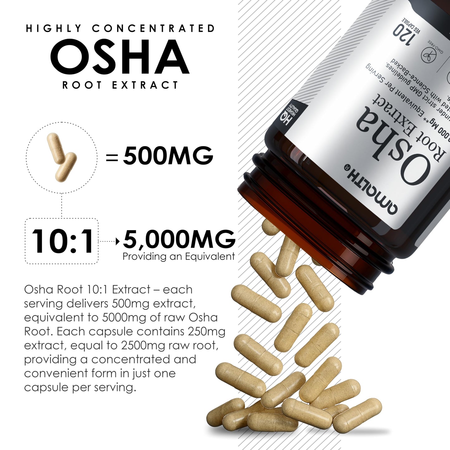 AMALTH OSHA Root 20:1 Extract – 1000mg, 120 Vegan Capsules, 15X Concentrated, Non-GMO