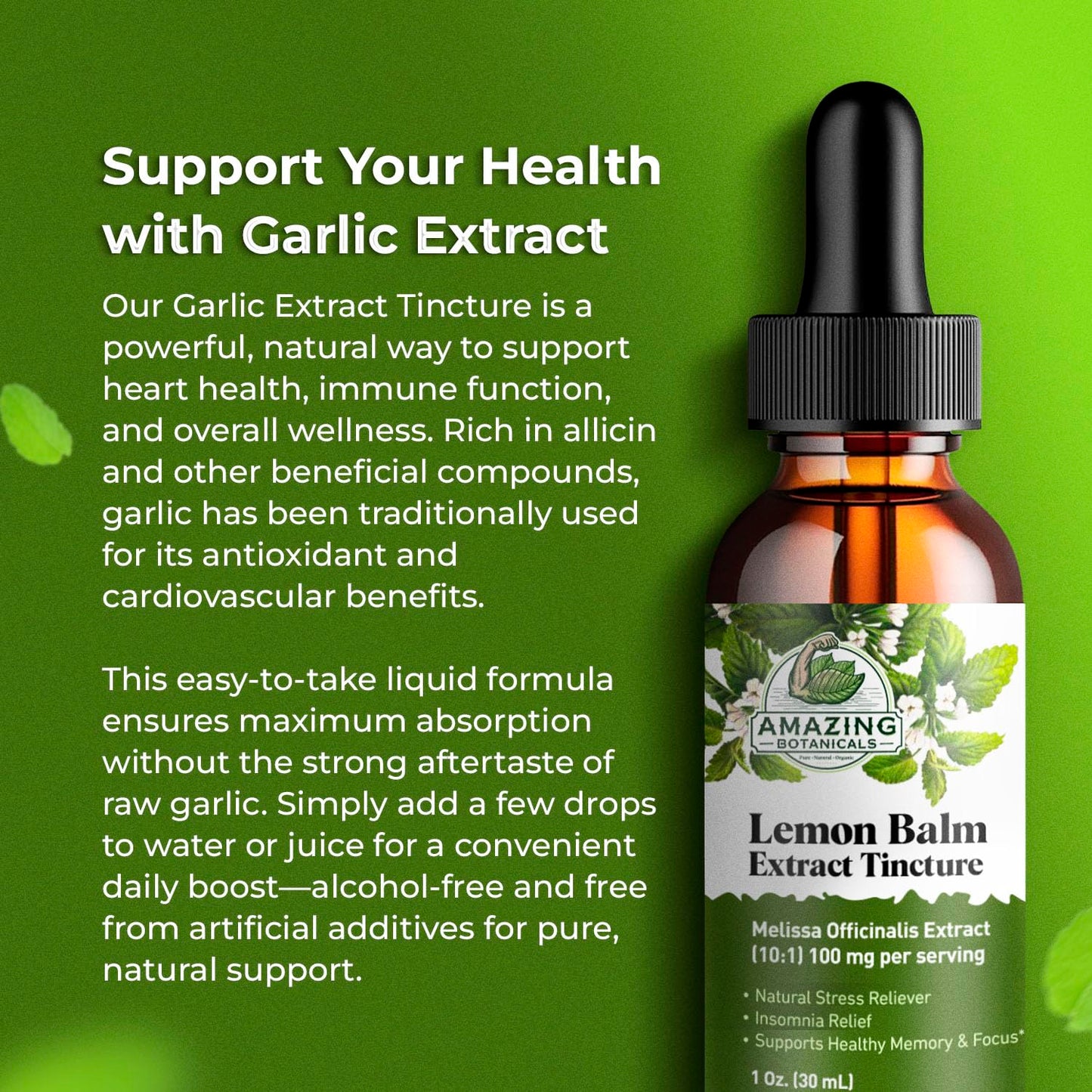 Amazing Botanicals Lemon Balm 10X Extract Tincture – 30,000 mg, 30 ml, Relaxation & Cognitive Support