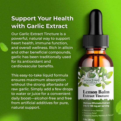 Amazing Botanicals Lemon Balm 10X Extract Tincture – 30,000 mg, 30 ml, Relaxation & Cognitive Support