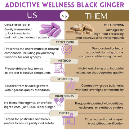 Addictive Wellness Black Ginger Capsules 450mg – Kaempferia Parviflora for Energy, Endurance & Metabolism | Vegan & Paleo | 100 Count