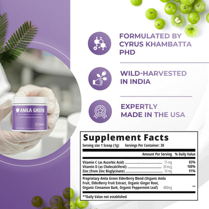 Amla Green 20x Concentrated Amla Powder with Elderberry – Immune Support Superfood, Ginger, Cinnamon & Peppermint, 90 Servings