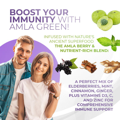 Amla Green 20x Concentrated Amla Powder with Elderberry – Immune Support Superfood, Ginger, Cinnamon & Peppermint, 90 Servings
