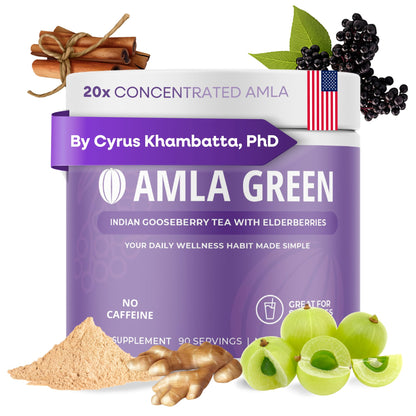 Amla Green 20x Concentrated Amla Powder with Elderberry – Immune Support Superfood, Ginger, Cinnamon & Peppermint, 90 Servings