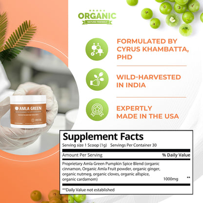 Amla Green 20x Concentrated Amla Powder with Pumpkin Spice – 90 Servings