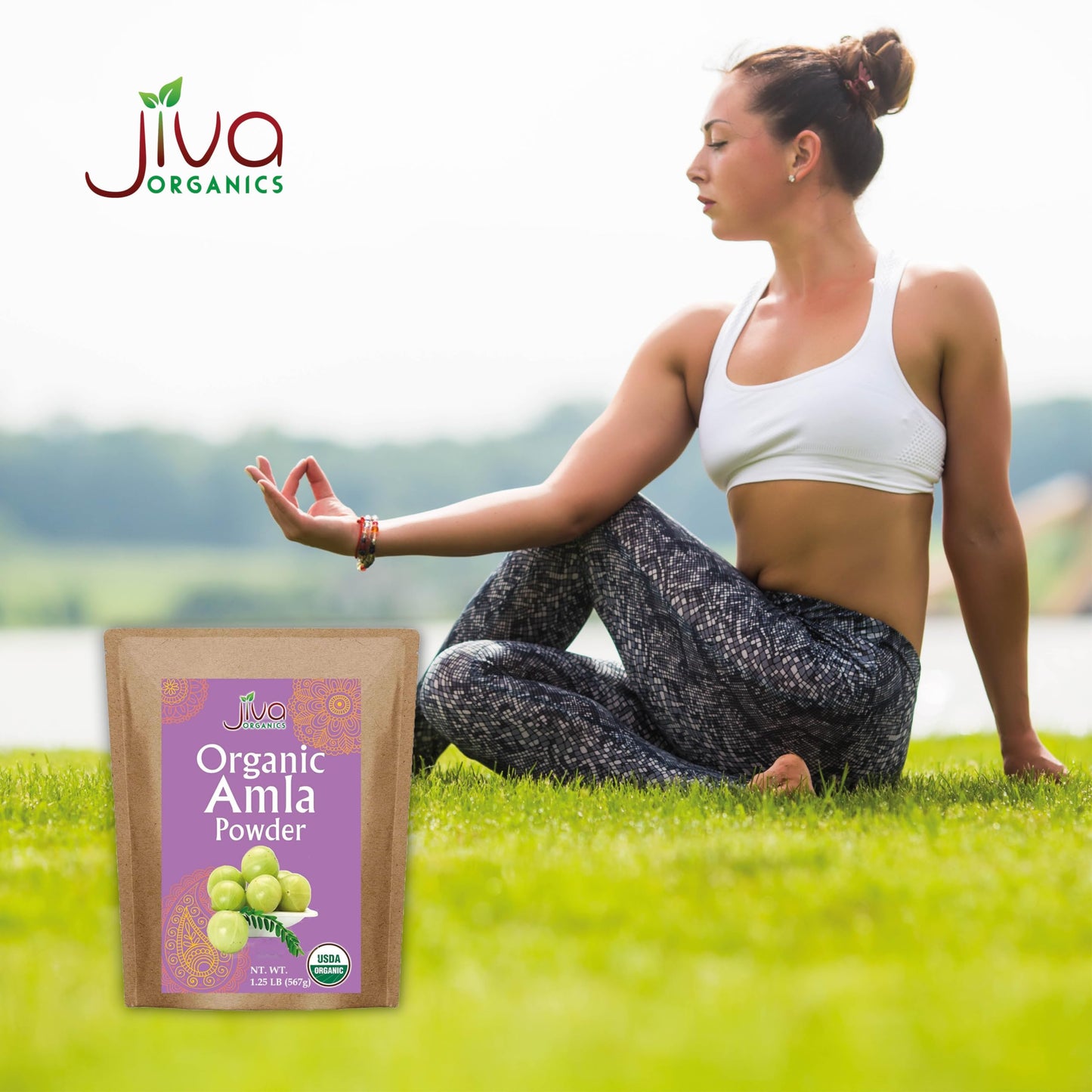 Organic Amla Powder 1.25 lb – Pure Amalaki, Lab Tested, Gluten Free | Jiva Organics
