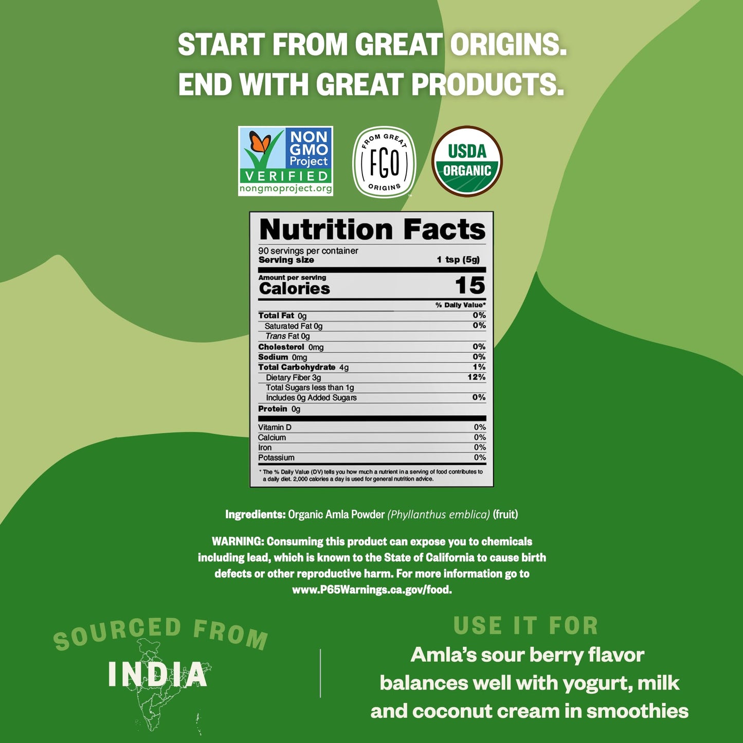 FGO Organic Amla Powder (Amalaki), 100% Raw from India, 16oz (Pack of 1)
