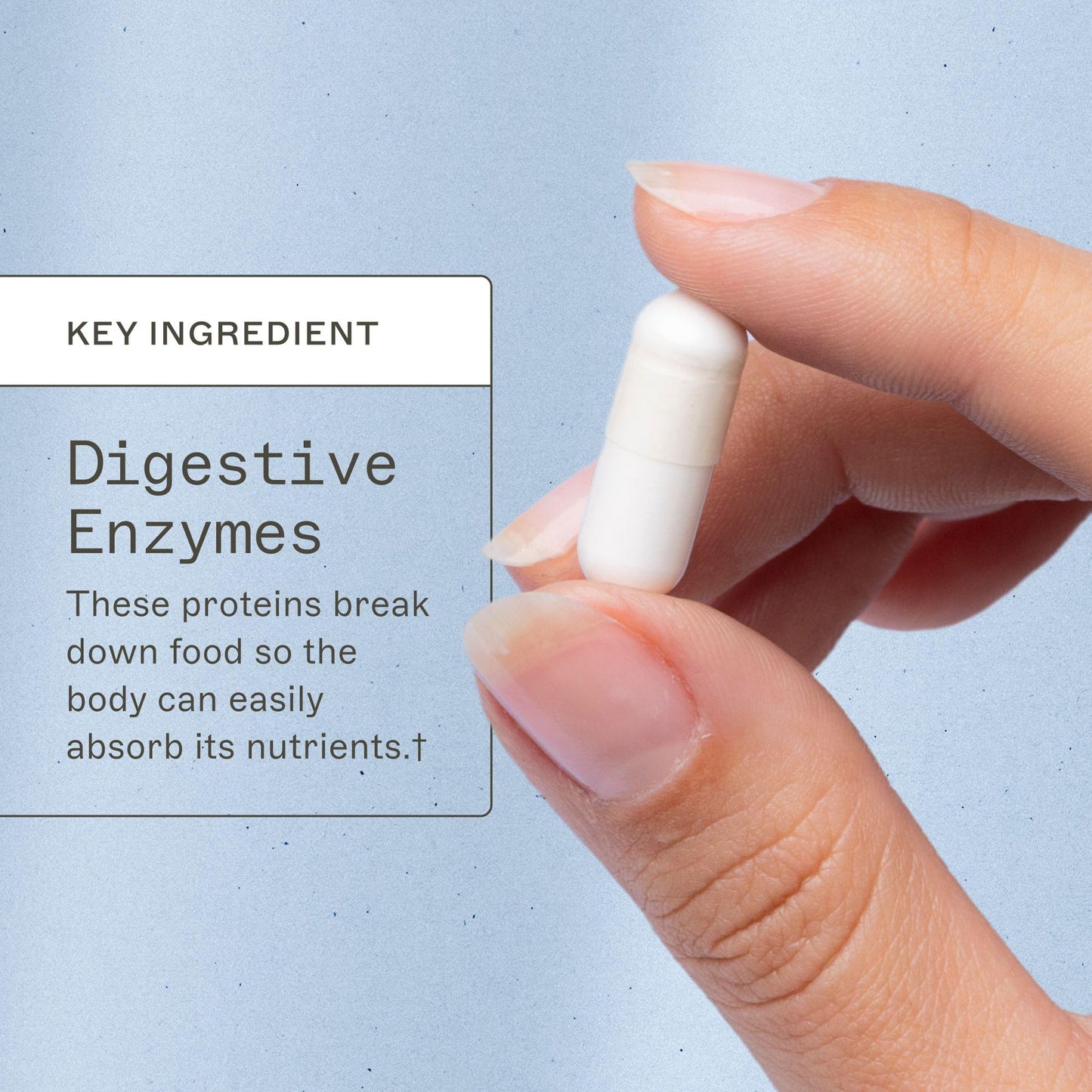 Amy Myers MD Candifense Candida Overgrowth Supplement - Digestive Enzymes for Digesting Fiber - Gut Care for a Balanced Microbiome - Gluten-Free, Dairy-Free & Non-Soy - 120 Capsules (60 Servings)