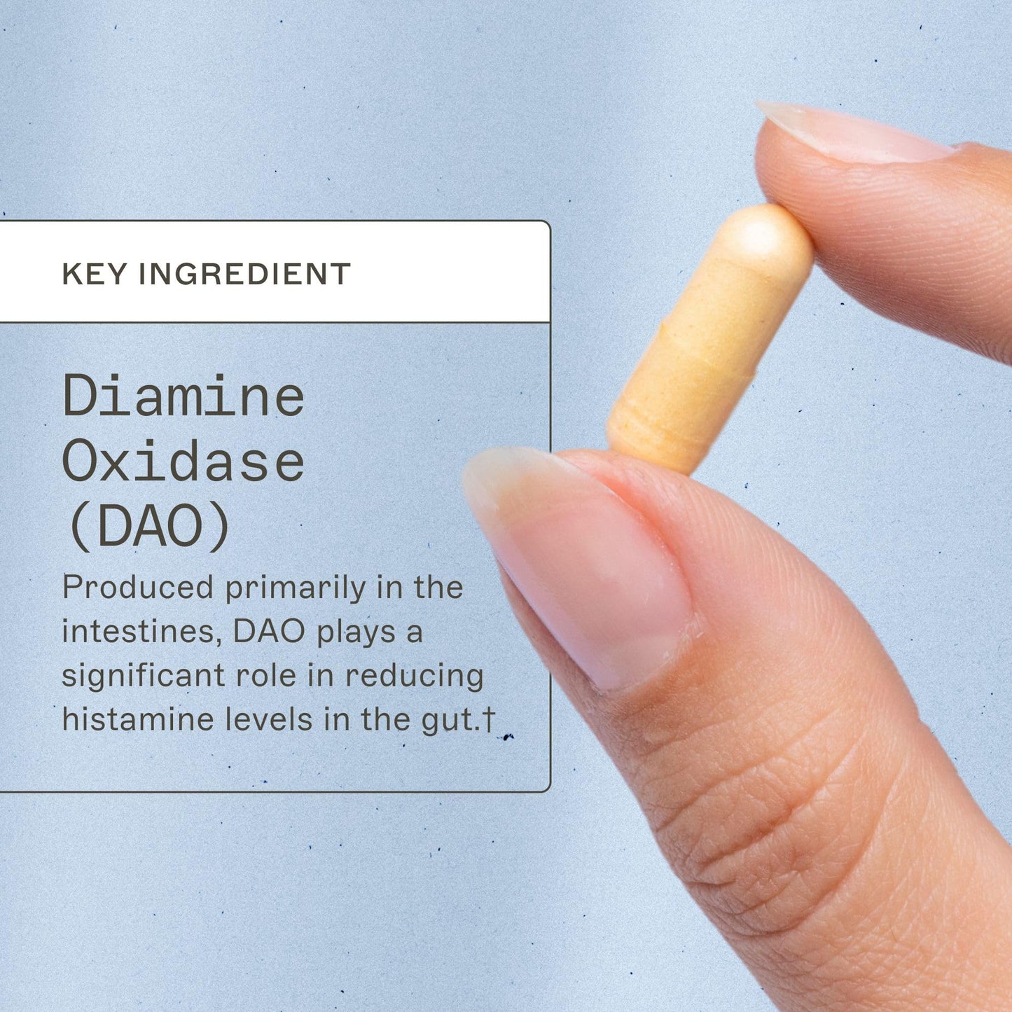 Amy Myers MD Histazyme DAO Enzyme Supplement – Digestive Support for Histamine Sensitivity, 60 Capsules