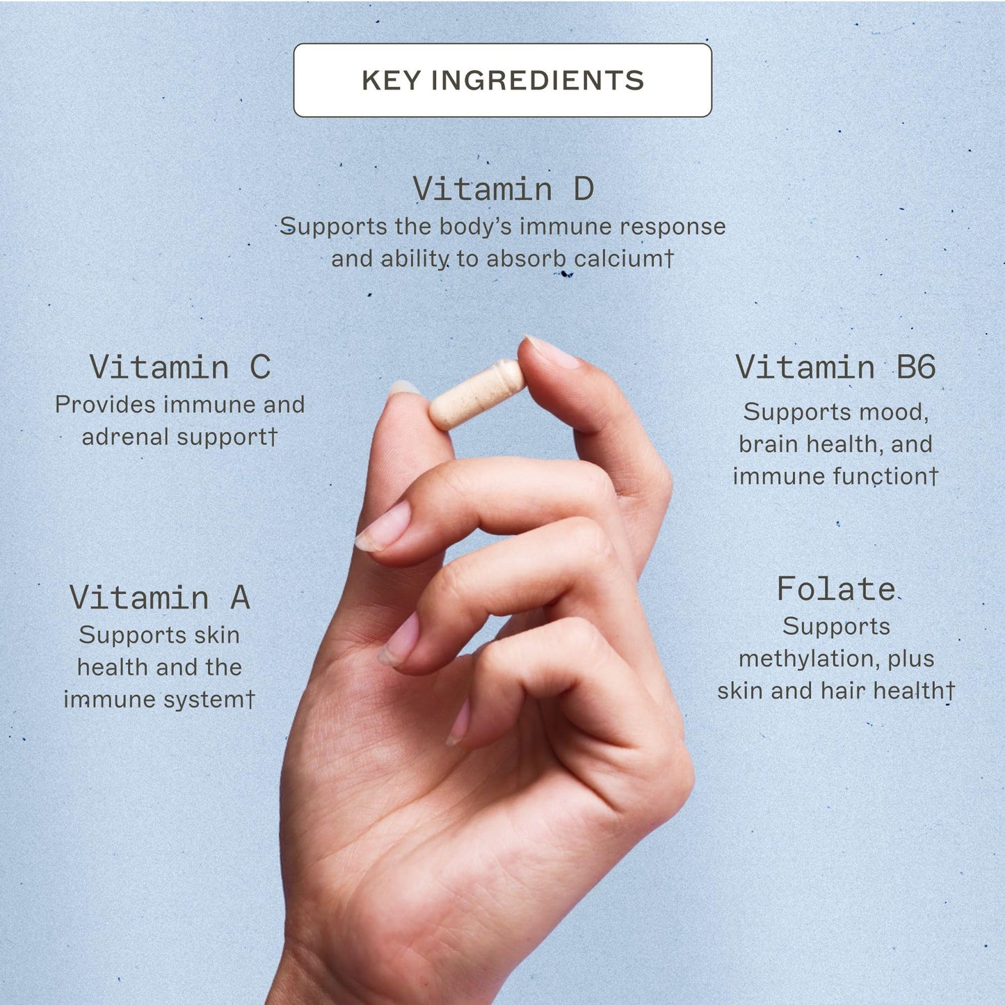 Amy Myers MD The Myers Way Multivitamin – Gluten-Free, Iron-Free Daily Support for Immune & Thyroid Health