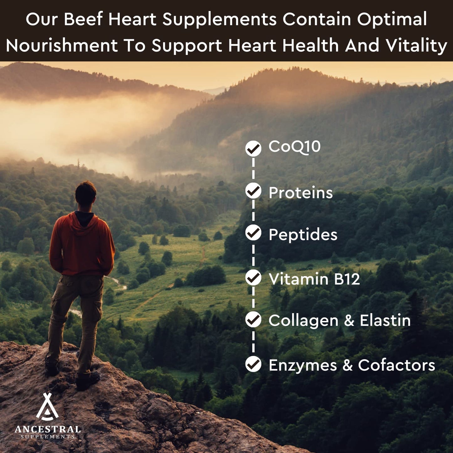 Ancestral Supplements Grass-Fed Beef Heart 3300mg – CoQ10, 180 Capsules, Non-GMO