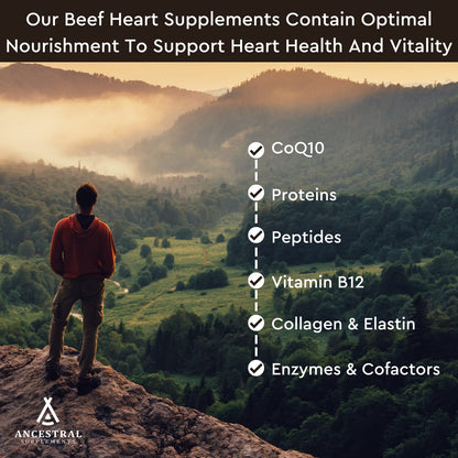 Ancestral Supplements Grass-Fed Beef Heart 3300mg – CoQ10, 180 Capsules, Non-GMO