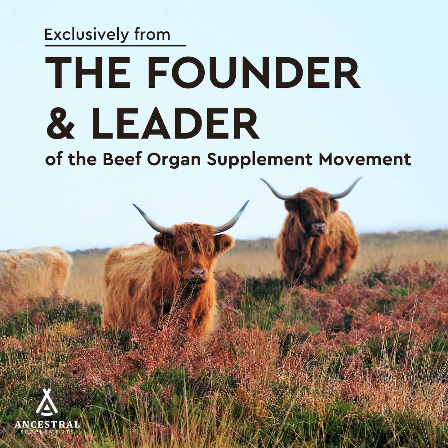 Ancestral Supplements Grass-Fed Beef Heart 3300mg – CoQ10, 180 Capsules, Non-GMO