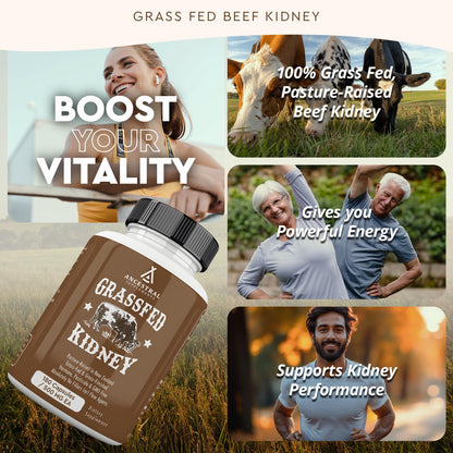 Ancestral Supplements Grass Fed Beef Kidney – 3000mg DAO Enzyme, Kidney & Histamine Support, Selenium & B12, 180 Capsules