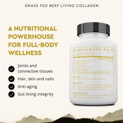 Ancestral Supplements Grass-Fed Beef Living Collagen – 3000mg, 180 Capsules, Type II