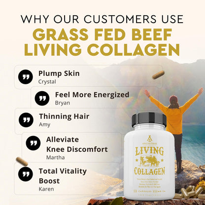 Ancestral Supplements Grass-Fed Beef Living Collagen – 3000mg, 180 Capsules, Type II