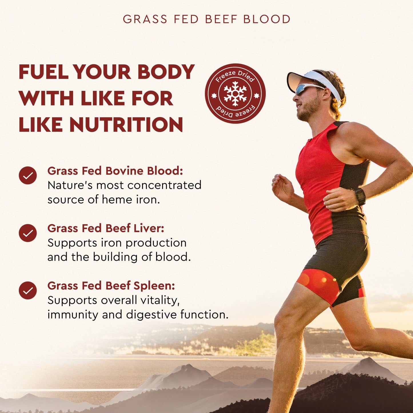 Ancestral Supplements Grass Fed Blood is Blood, Liver & Spleen Formula — 180 Capsules