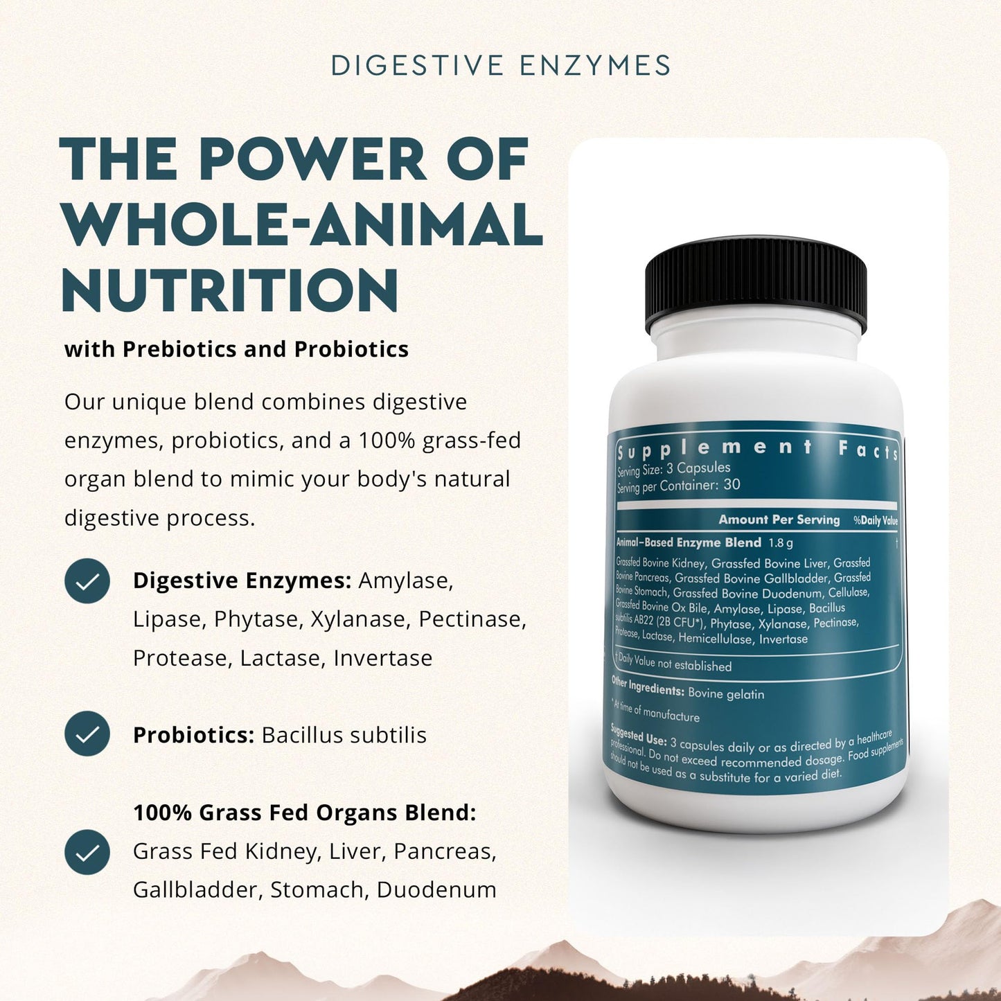 Ancestral Supplements Digestive Enzymes for Women & Men – Probiotics & Grass-Fed Organs, 90 Capsules