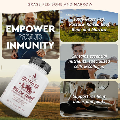 Ancestral Supplements Grass-Fed Beef Bone & Marrow — 180 Capsules (3000mg) for Joint, Skin & Oral Health