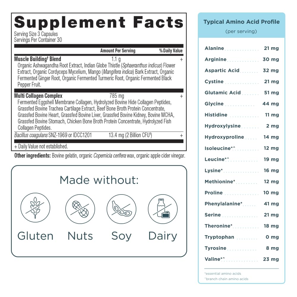 Ancient Nutrition Advanced Multi Collagen Protein Capsules – Muscle Support, 90 Count