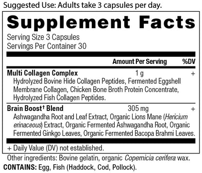 Ancient Nutrition Collagen Brain Boost Capsules – Joint Comfort, Skin & Nails, 90 Count