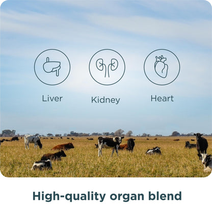 Ancient Nutrition Organ Supplements – Grass-Fed & Wild Organ Complex, 180 Count