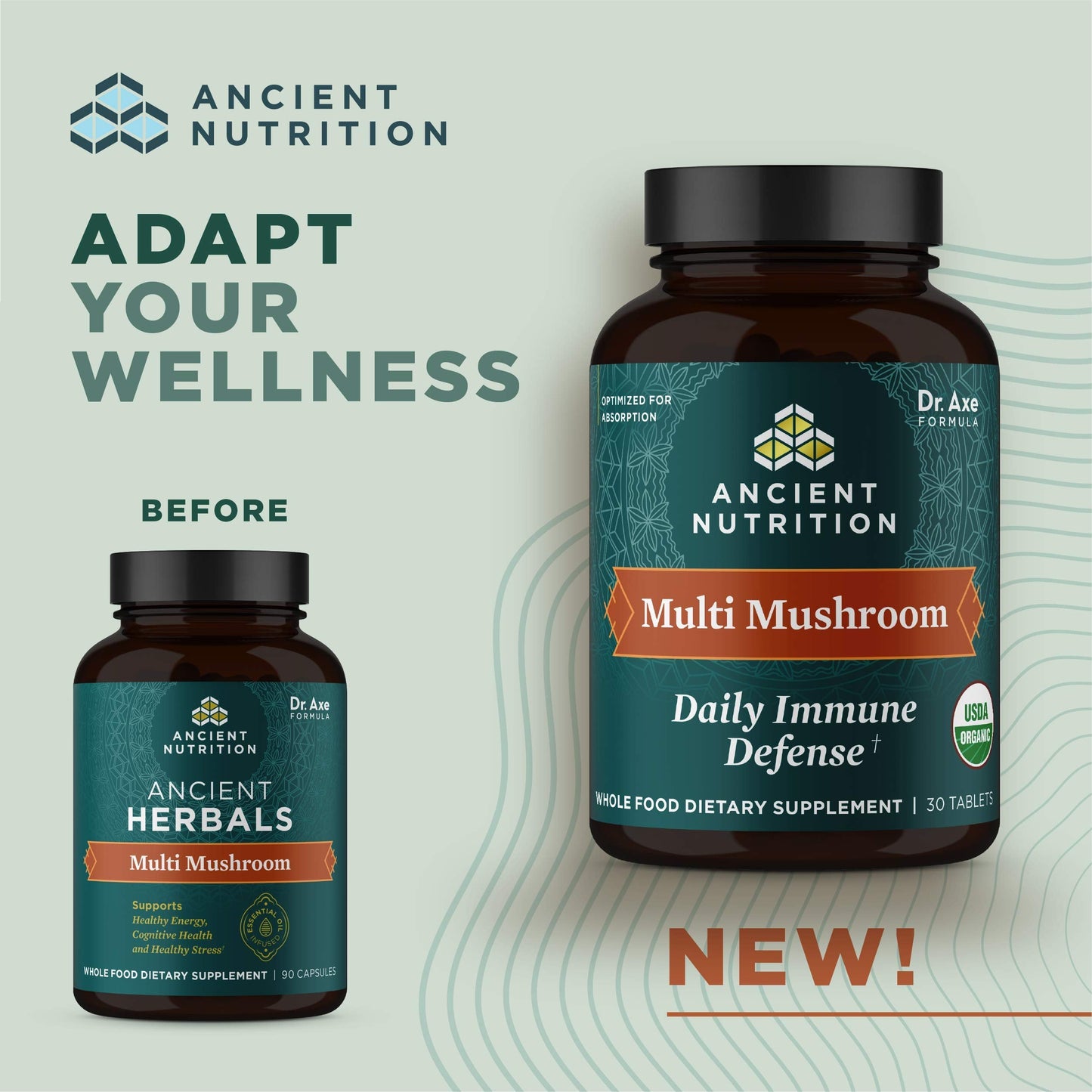 Ancient Nutrition Organic Multi Mushroom Immune Support - 60 Count