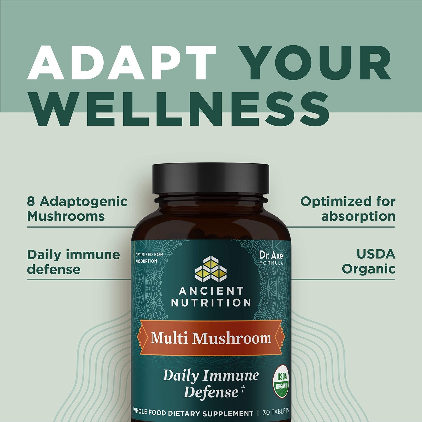 Ancient Nutrition Organic Multi Mushroom Immune Support - 60 Count