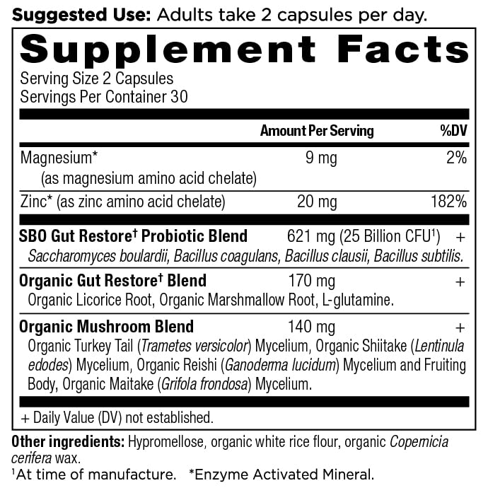 Ancient Nutrition SBO Probiotics Gut Restore — 60 Count, 25 Billion CFU, Digestive & Immune Support, Gluten Free