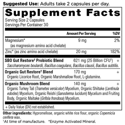 Ancient Nutrition SBO Probiotics Gut Restore — 60 Count, 25 Billion CFU, Digestive & Immune Support, Gluten Free