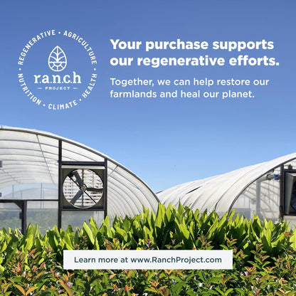 Ancient Nutrition SBO Probiotics for Women – 60 Count, 25 Billion CFU