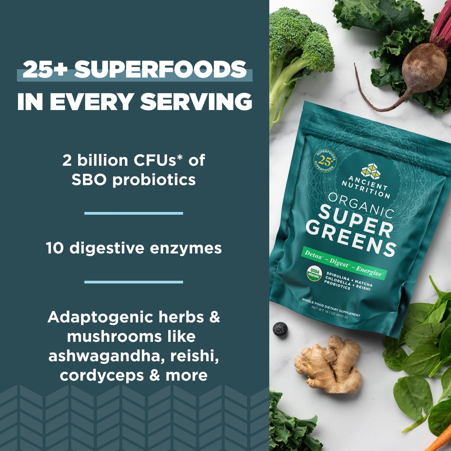 Ancient Nutrition Super Greens Powder – Organic Probiotic Superfood with Spirulina, Chlorella & Matcha | 50 Servings