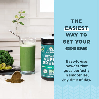 Ancient Nutrition SuperGreens Powder with Probiotics – Organic Peppermint Flavor, 25 Servings, 7.23oz