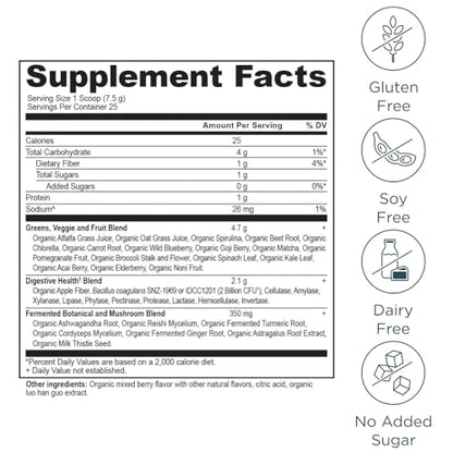 Ancient Nutrition SuperGreens Powder with Probiotics – Organic Berry Flavor, 25 Servings, 6.7 oz