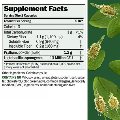 ANDREW LESSMAN Fibermucil 1000 Capsules – Psyllium Husk Fiber for Digestive Health