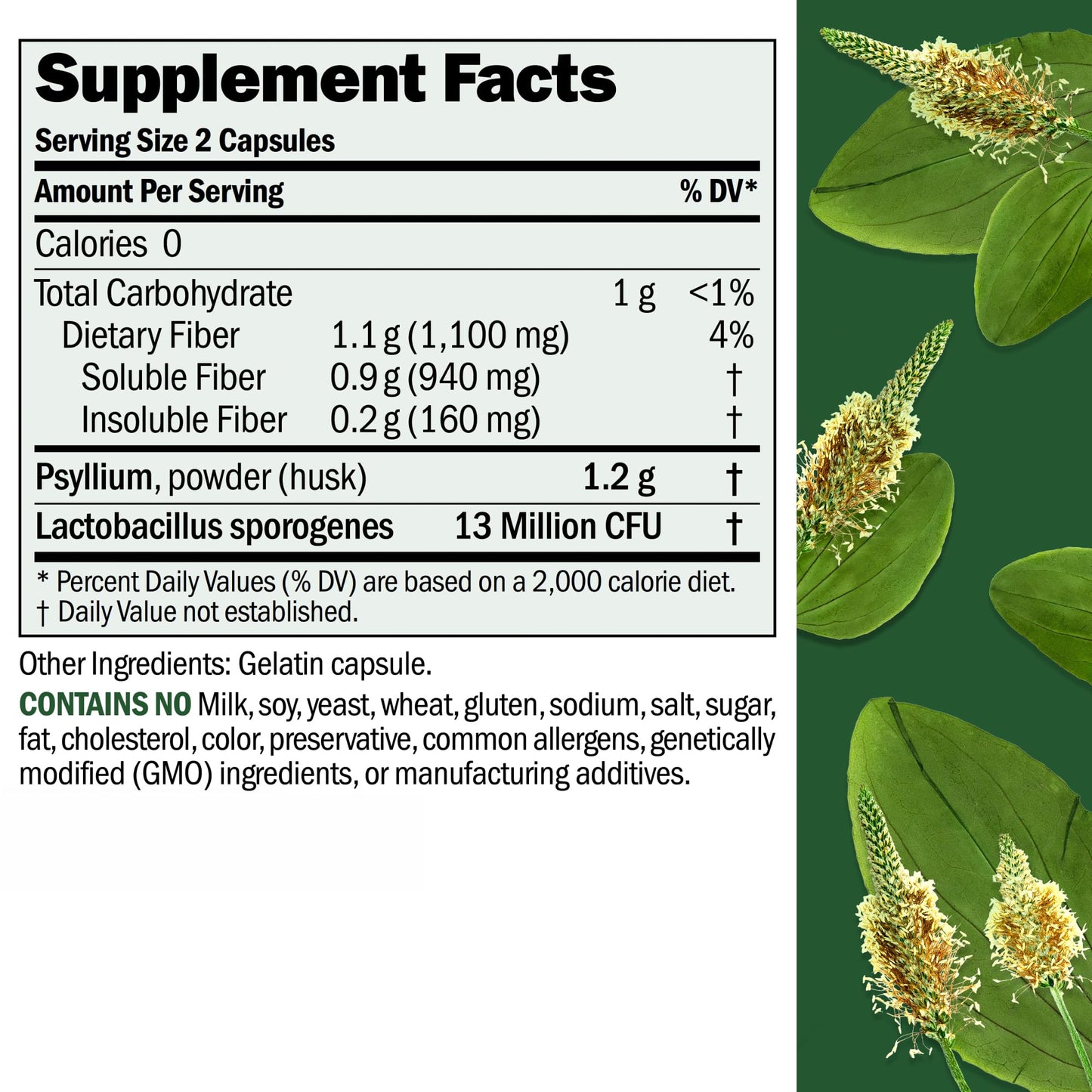 ANDREW LESSMAN Fibermucil 360 Capsules – Psyllium Husk Fiber for Digestive Comfort