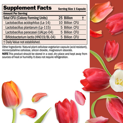 ANDREW LESSMAN Ultimate Friendly Flora Probiotic — 25B CFU, 5 Strains, 240 Capsules