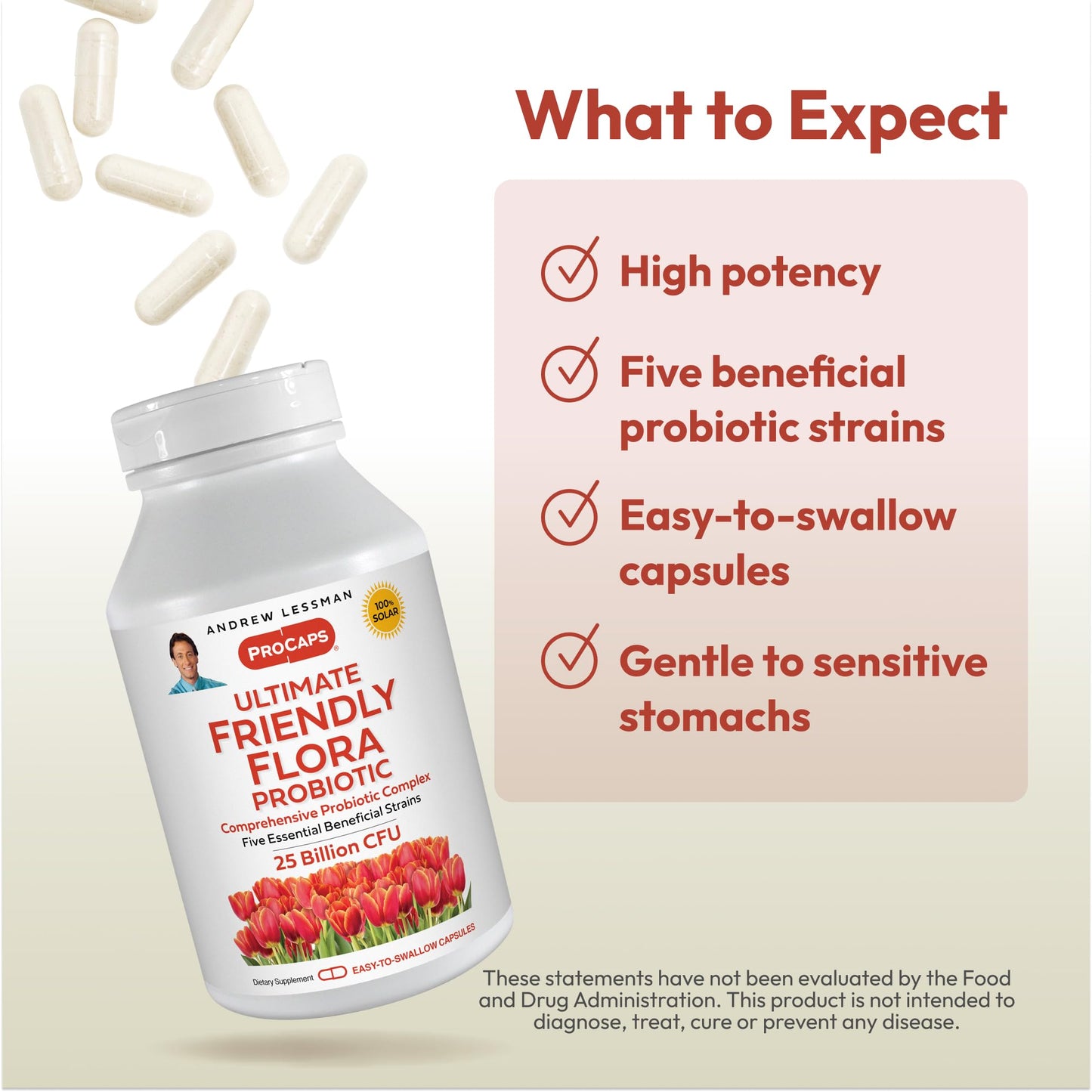 ANDREW LESSMAN Ultimate Friendly Flora Probiotic — 25B CFU, 5 Strains, 240 Capsules