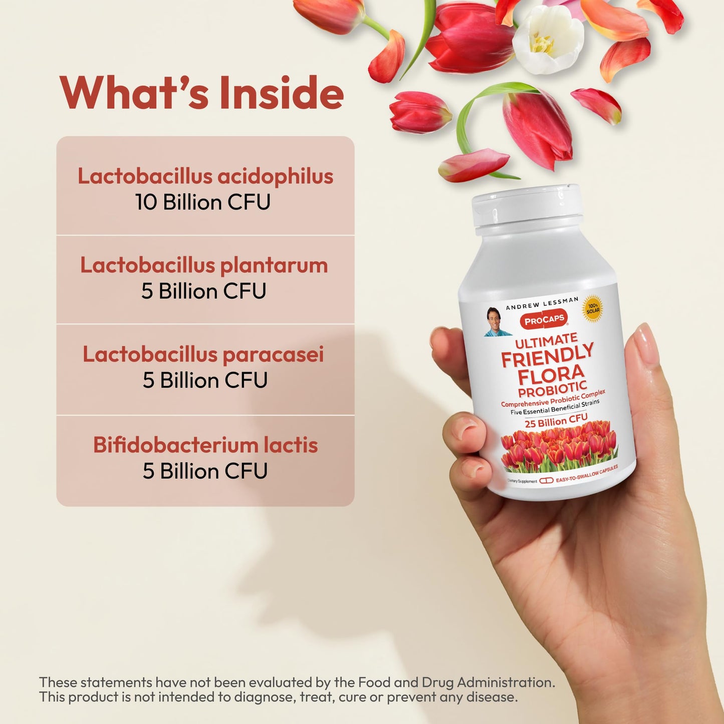 ANDREW LESSMAN Ultimate Friendly Flora Probiotic — 25B CFU, 5 Strains, 240 Capsules