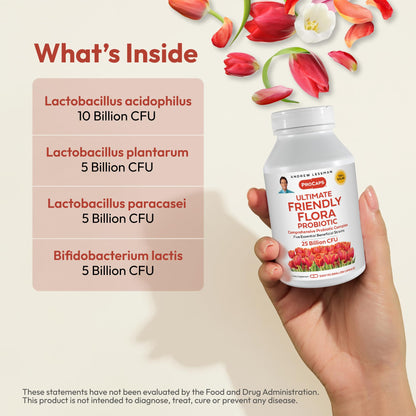 ANDREW LESSMAN Ultimate Friendly Flora Probiotic — 25B CFU, 5 Strains, 240 Capsules