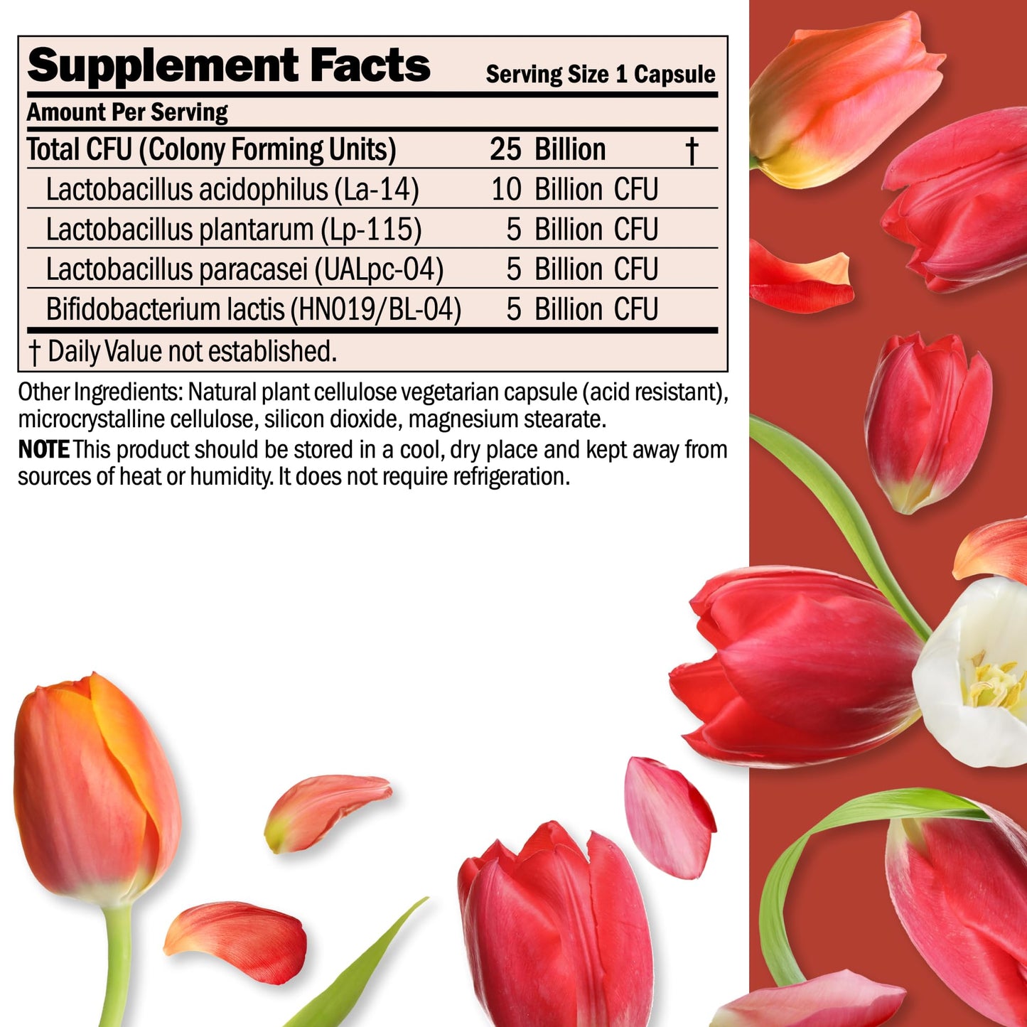 ANDREW LESSMAN Ultimate Friendly Flora Probiotic — 25B CFU, 5 Strains, 240 Capsules
