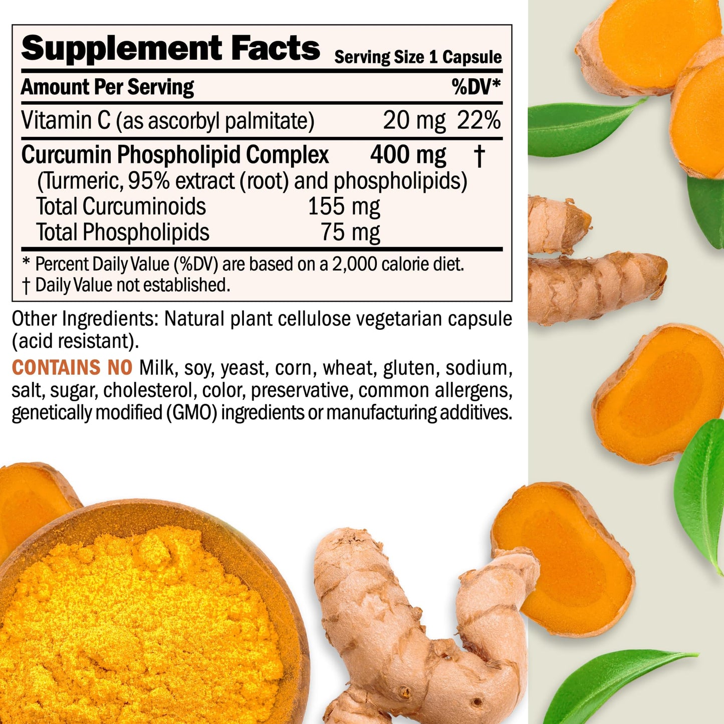ANDREW LESSMAN Turmeric 400mg - 240 Capsules | 95% Curcuminoids Phospholipid Complex
