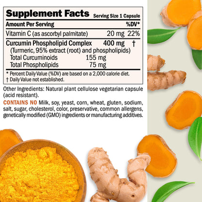 ANDREW LESSMAN Turmeric 400mg - 240 Capsules | 95% Curcuminoids Phospholipid Complex